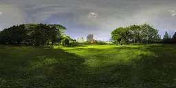 Green grass at night