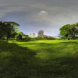 Green grass at night