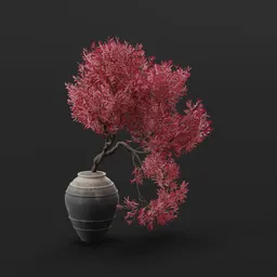 Bonsai