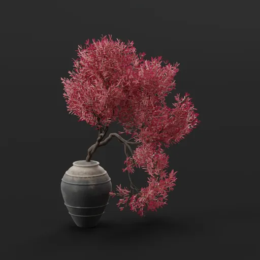 Bonsai