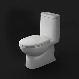 Bathroom WC Toilet