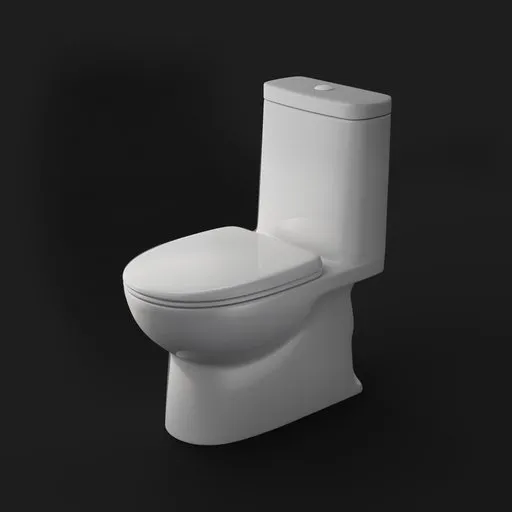 Bathroom WC Toilet
