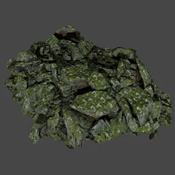 Green Moss Rugged Rocky Ground