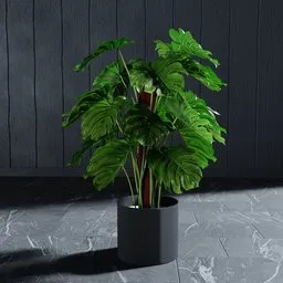 "Monstera Artificial Plant 60 cm: Lifelike 3D Model for Blender 3D - Nature Indoor Category. Customize, Rotate, and Delete Leaves Easily. Realistic and High-resolution Rendered in Lumion Pro, with Black Veins and Palm Lines. Ideal for Interior Design and Visualizations."