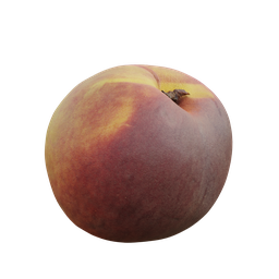 "Realistic 3D model of a peach, inspired by Charles Fremont Conner and rendered with high-quality textures on Blender 3D. Perfect for use in food and culinary designs."