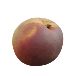 "Realistic 3D model of a peach, inspired by Charles Fremont Conner and rendered with high-quality textures on Blender 3D. Perfect for use in food and culinary designs."