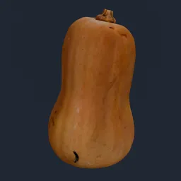 Pumpkin Butternut