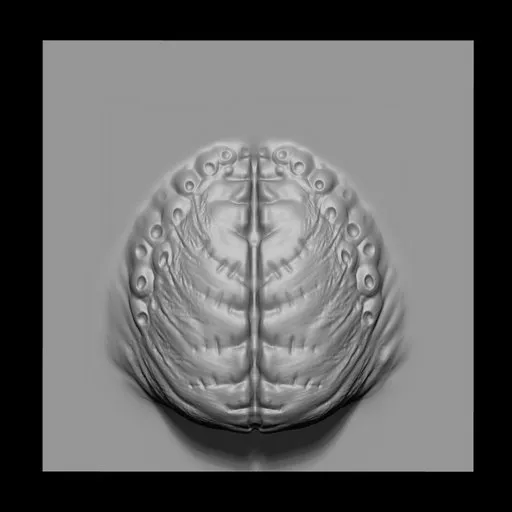 NS Alien Brain 3D sculpting brush imprint for Blender, with intricate horror-themed patterns.