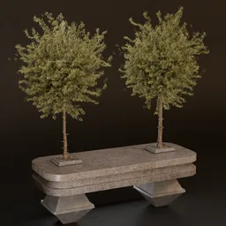 SJ- Modern Tree Structure