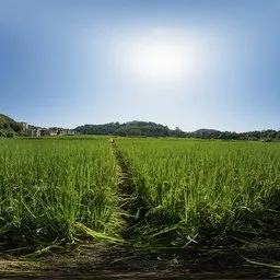 Daytime farmland 16k