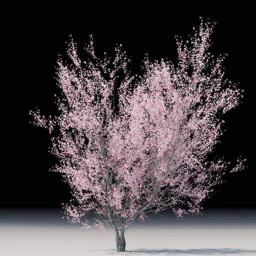 Detailed 3D rendering of a flowering Cercis tree, compatible with Blender for 3D design projects.
