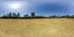 Vast urban grassland under midday sunlight with clear blue skies for scene lighting.