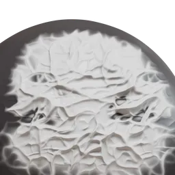 Wrinkled peach mushroom cap