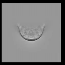 NS Sea Creature scale smooth