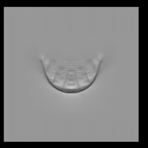 3D sculpting brush imprint with scaled texture for aquatic creature modeling in Blender.