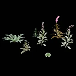 Realistic Outdoor Plants