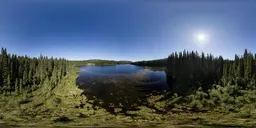 Green Trees by Lake Sunny Sky