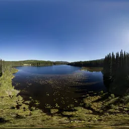 Green Trees by Lake Sunny Sky