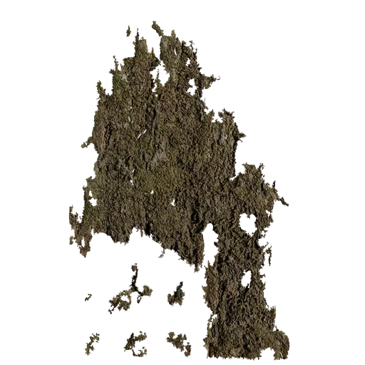 Moss
