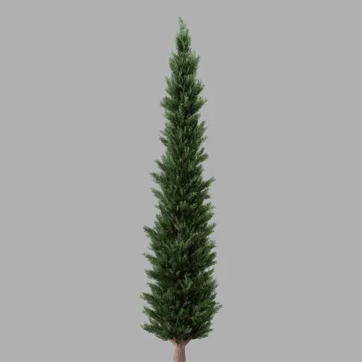 Detailed Cypress B 3D model, centimeters, rendered in Blender Cycles, available in .blend format.