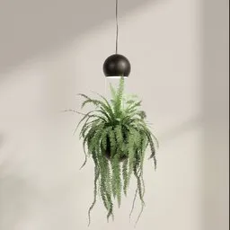 Floating Fern Pendant