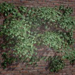 Realistic 3D ivy creeper tile for gaming and virtual scenes, with detailed textures for Blender rendering.