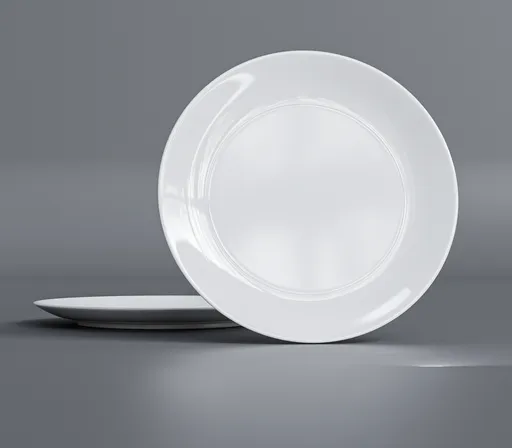 Dinner plate