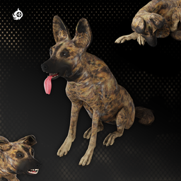 Detailed 3D African Wild Dog with multiple poses and animations, perfect for Blender rendering and animation.