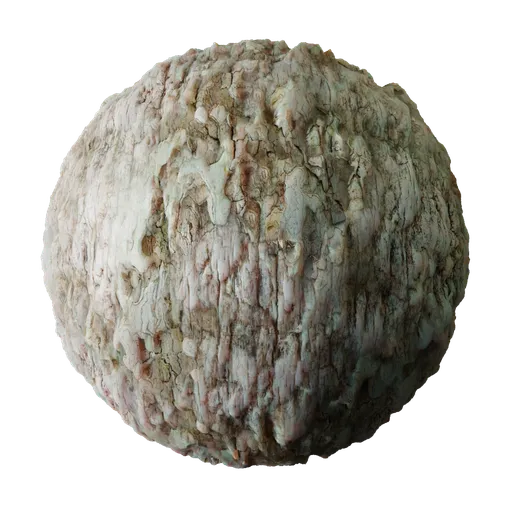 Tree Bark