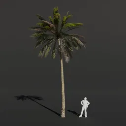 Palm Tree Medium Bent