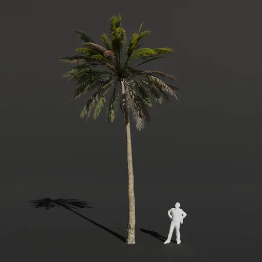 Palm Tree Medium Bent