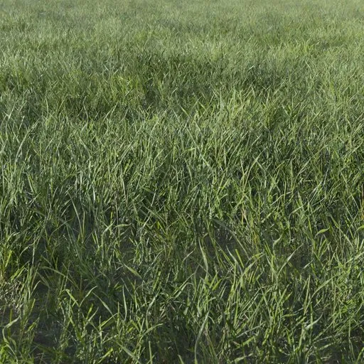 Grass Generic Small Cluster