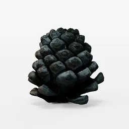 Detailed 3D model of a pine cone, ideal for Blender renderings, created with photogrammetry techniques.