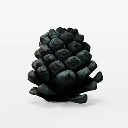 "High-quality pine cone 3D model for Blender 3D created through photogrammetry. Detailed textured surface with realistic shading, perfect for nature and tree-themed projects. Made using Blender 3D software."