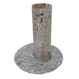 Realistic Blender 3D model of a textured tree trunk with detailed ground scan.