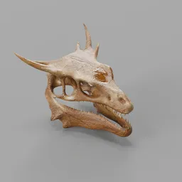 Realistic Dragon Skull.