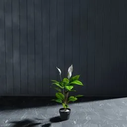 "Artificial Shovel Plant for Blender 3D: Easily customizable 3D model of a lush indoor plant in a black pot, with global illumination. Perfect for minimalist interior scenes. Based on a real product."
