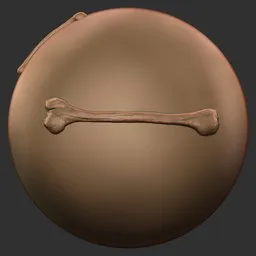 Long Bone
