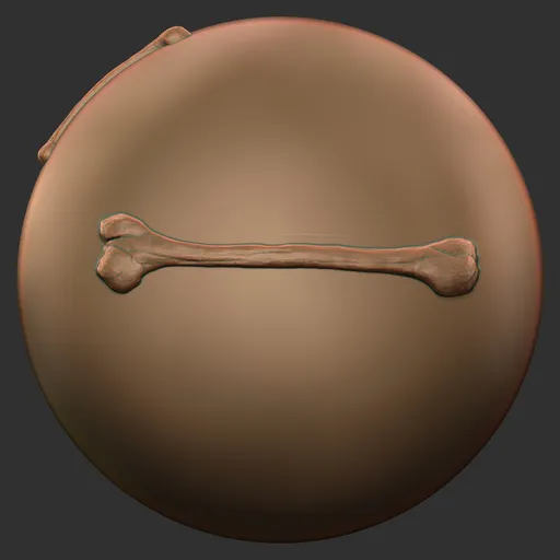 Long Bone