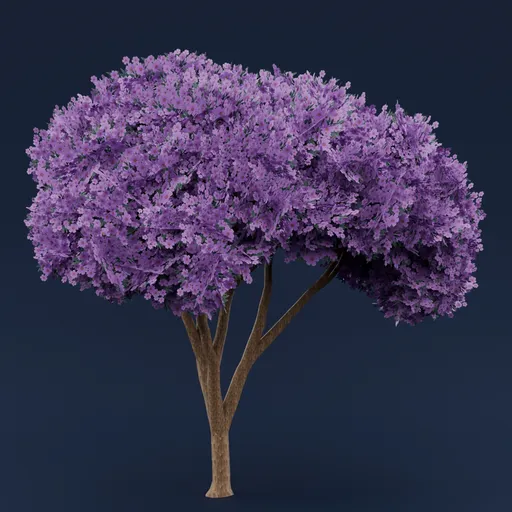 Purple flowered tree
