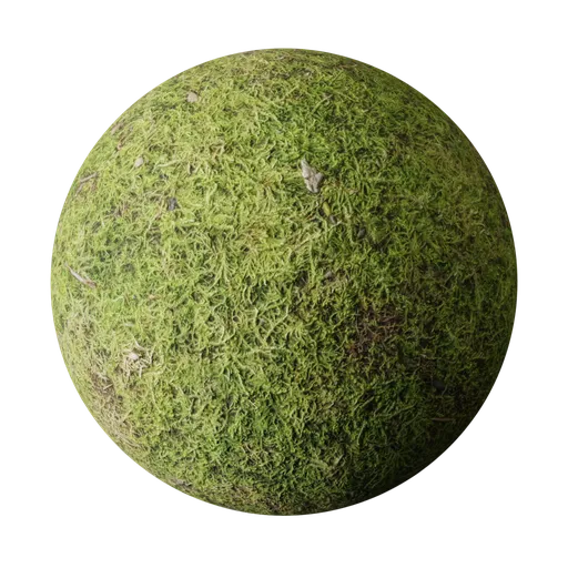 Mossy rock
