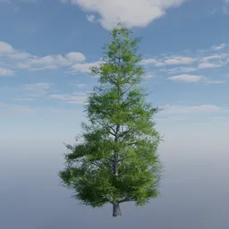 Evergreen tree 3 medium size