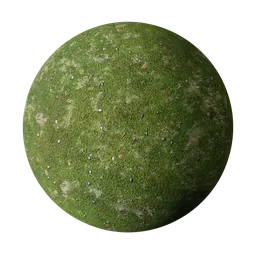 Ground Lawn base