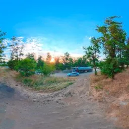 Woodland Meadow  Golden Hour Countryside HDRI