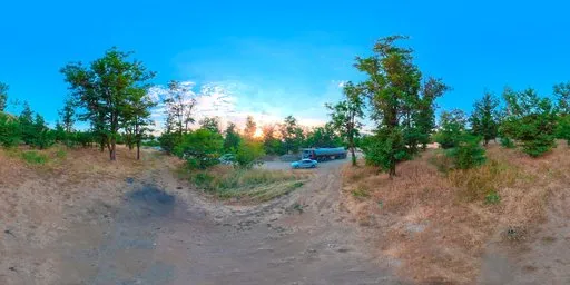 Woodland Meadow  Golden Hour Countryside HDRI