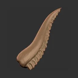Spine Crest Horn