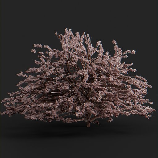 BlenderKit Download the Cherry Blossoms model