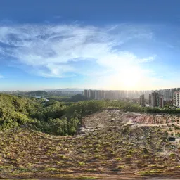 Green tree mountain cloud bluesky