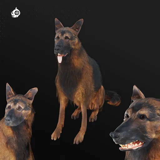 Detailed German Shepherd 3D model featuring multiple animations and poses, game-ready with high-resolution textures.