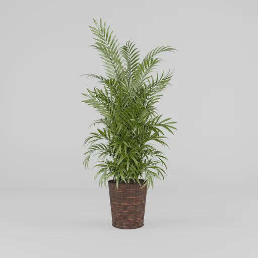 Artificial Areca Palm Plant